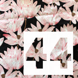 Bloomer - Vente spéciale !